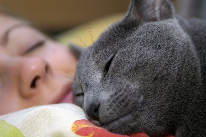 Sleeping On Your Chest Is A Sign That they Feel Safe