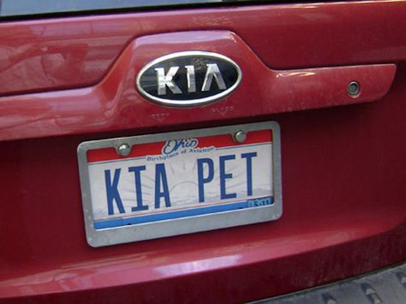 kia pet funny license plate