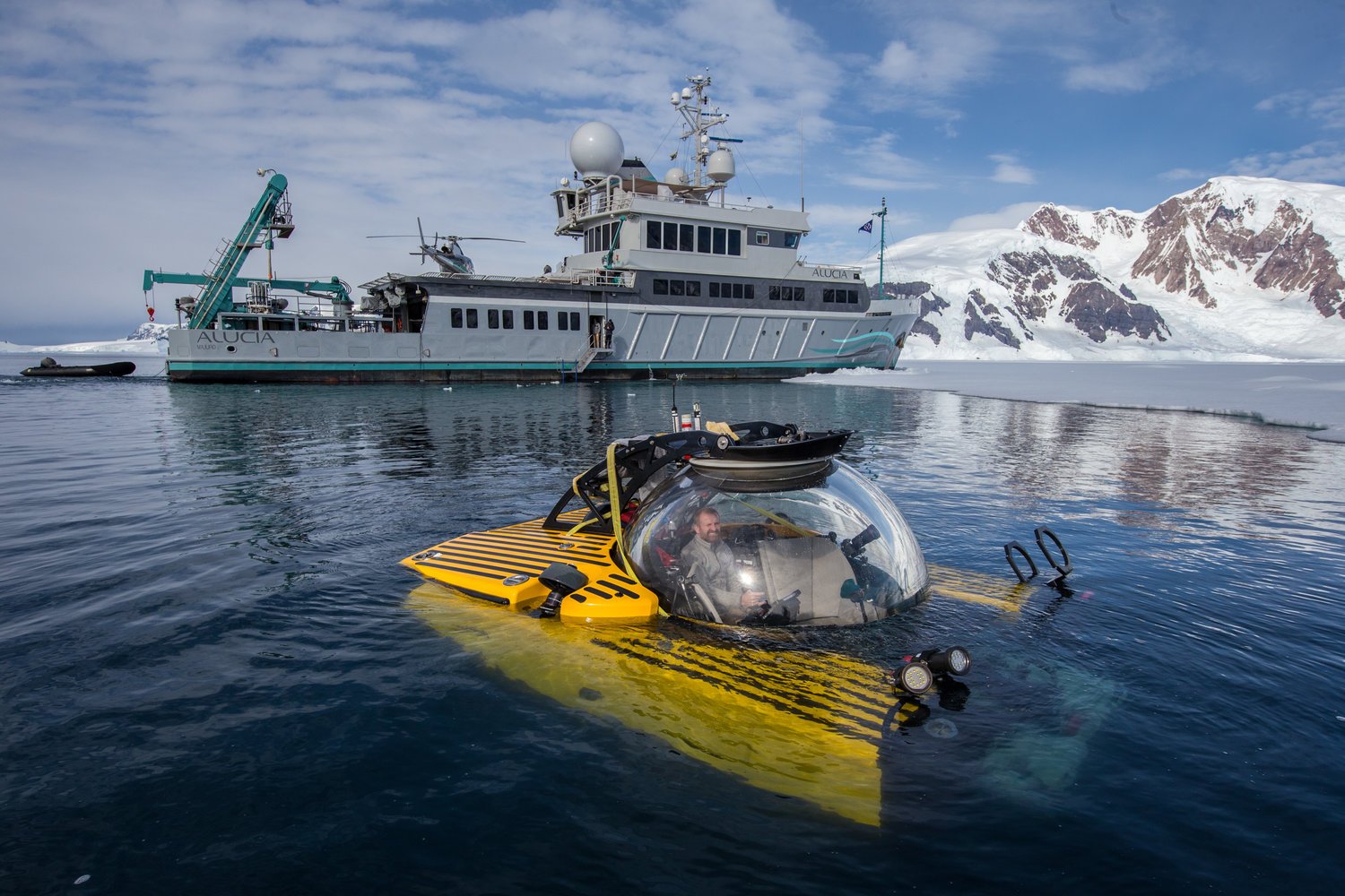 The Antarctic Sunstar