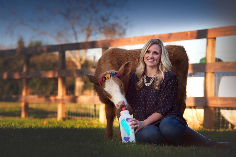 A Happy Cow