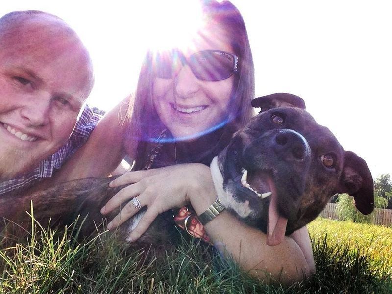 Fans Of Pit Bulls