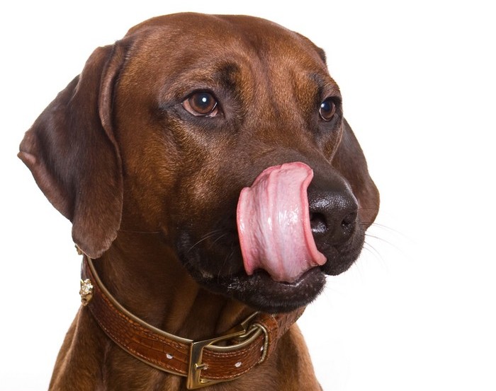 Flipping Up Tongues