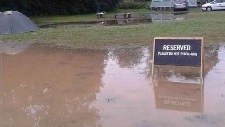 Follow The Signs