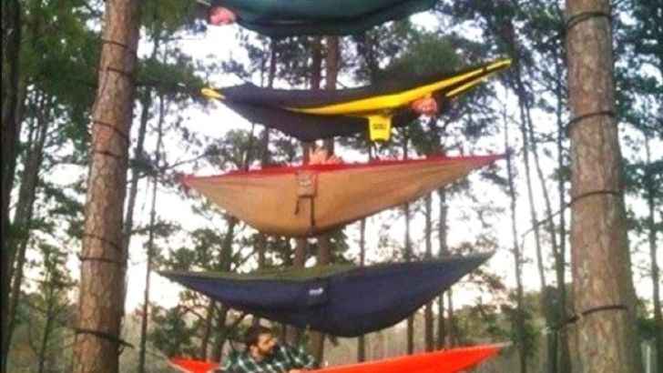 Hammock Scaffolding