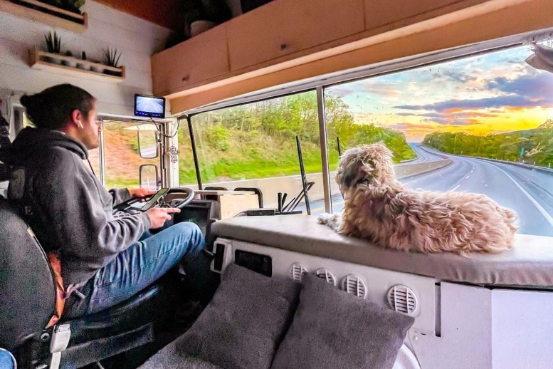 tiny home on wheels