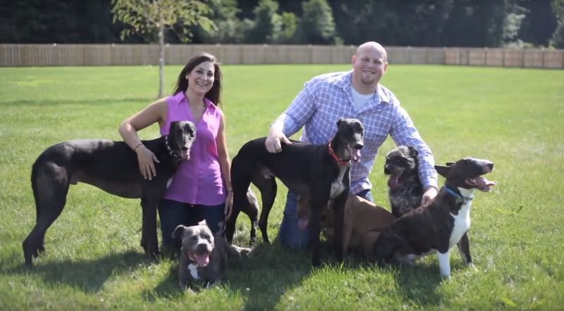 Loving Parents To Many Dogs