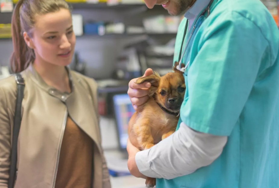 Puppy Vaccination