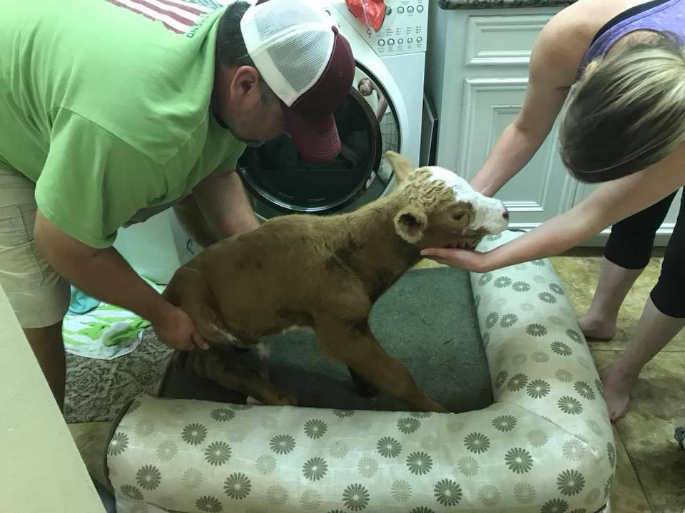 Rescue Was On The Way