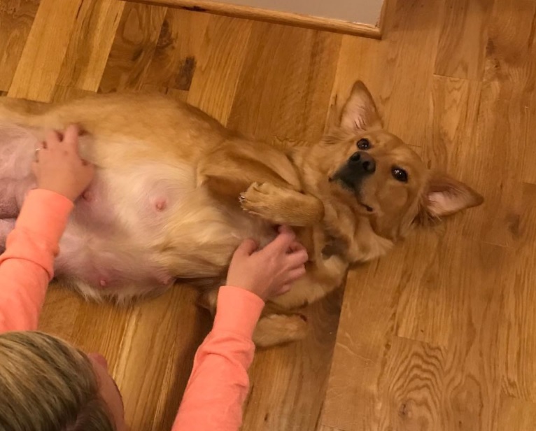 She Was Rescued