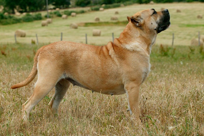 Sniffing Around