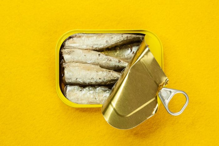 Sardines