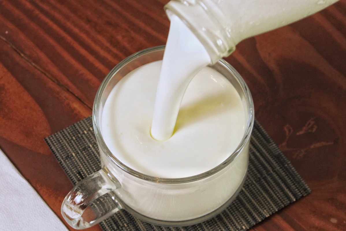 Unsweetened yogurt
