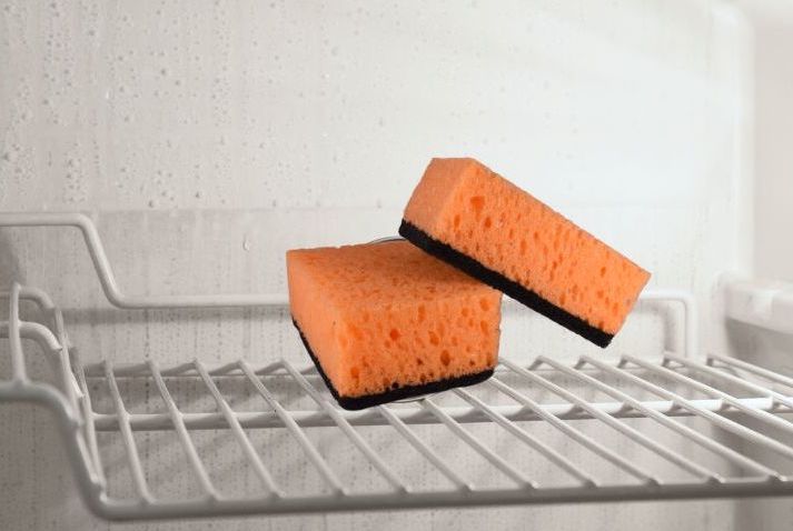 sponge in the fridge